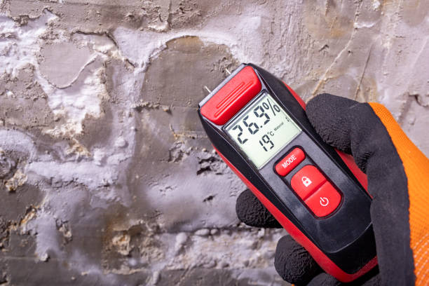Best Residential Mold Removal  in Harvey, IL